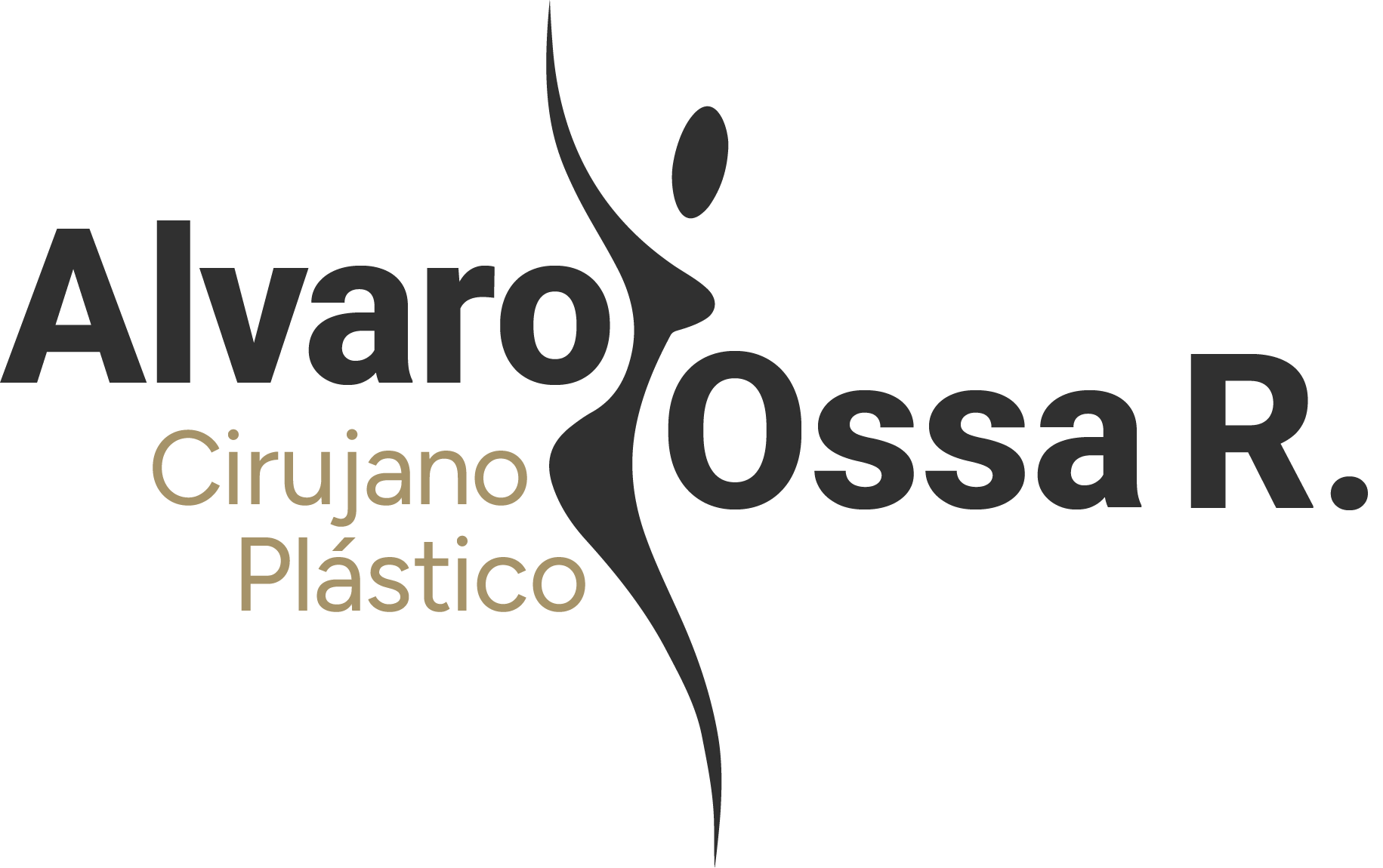 Ossa Assets